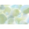 Affreschi & Affreschi | Flo | Fable | KR0402